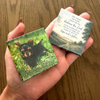 Two photo magnets resting in an open palm