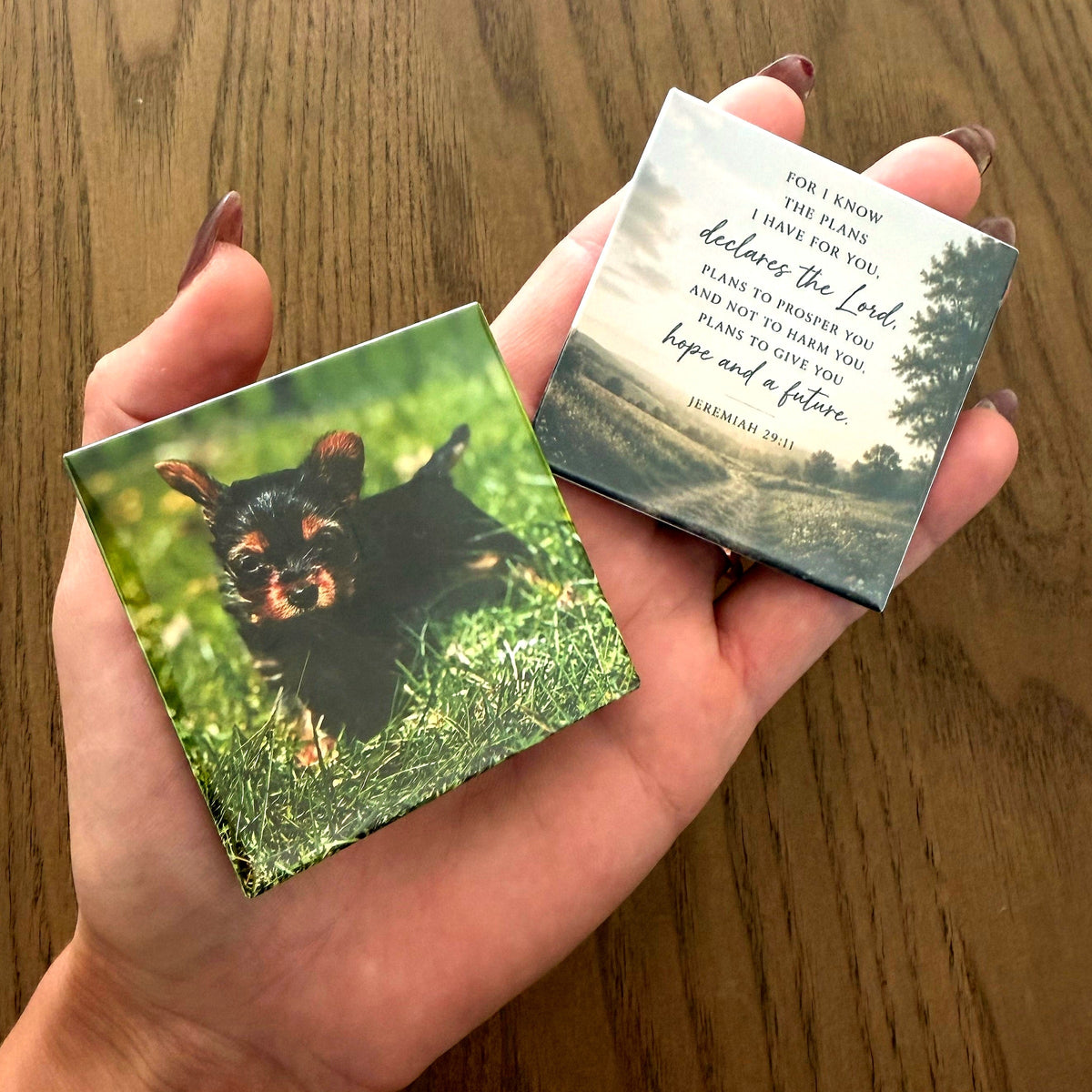 Two photo magnets resting in an open palm