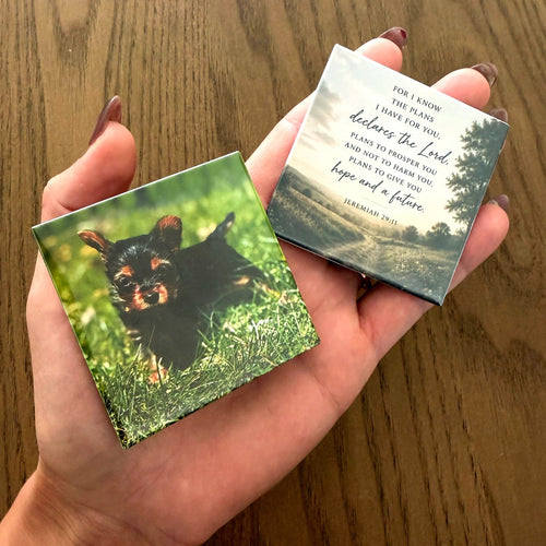 Two photo magnets resting in an open palm